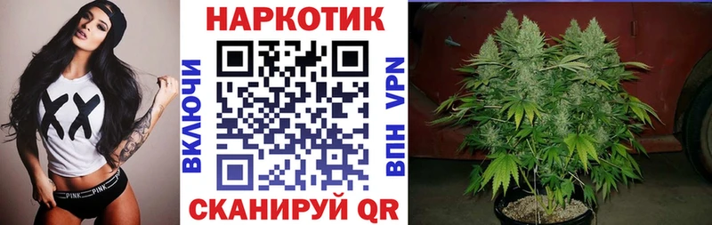 Бошки Шишки Железногорск-Илимский