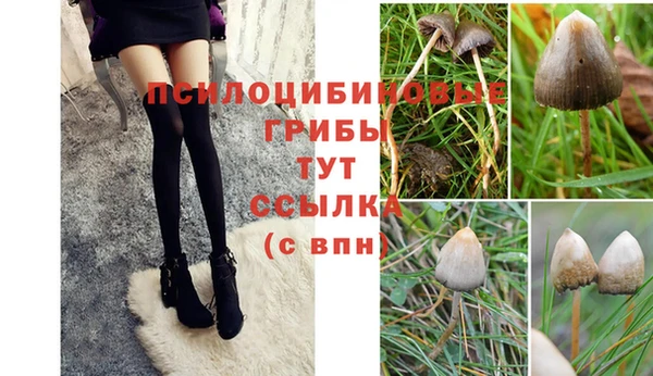 хмурый Алексеевка