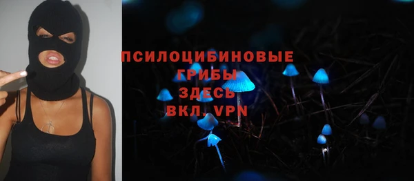 винт Алзамай